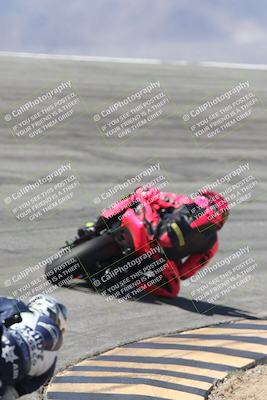 media/Oct-05-2025-CVMA (Sun) [[beeef4f201]]/Race 7-Middleweight Shootout/